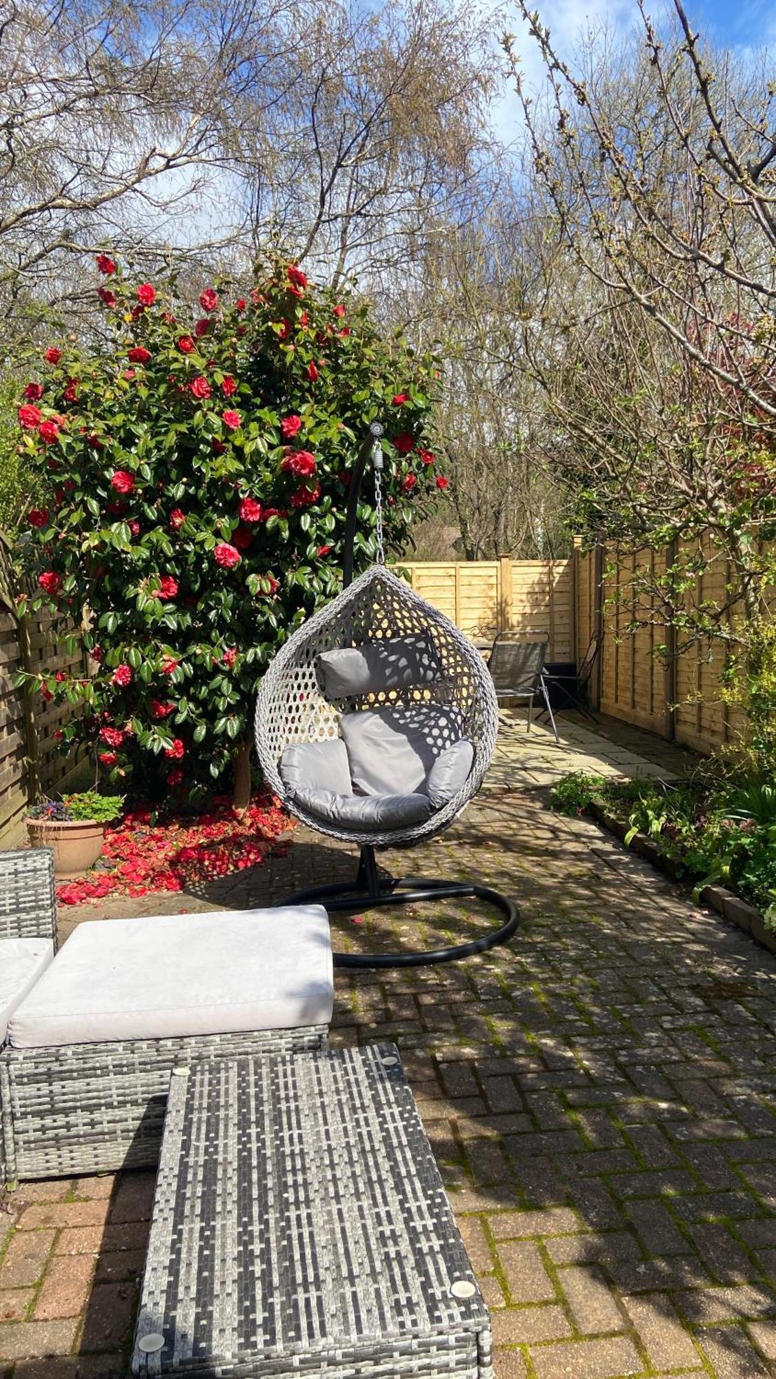 Beautiful Bexhill Cottage With Garden 3 Mins Walk To Beach Bexhill-on-Sea Exterior foto